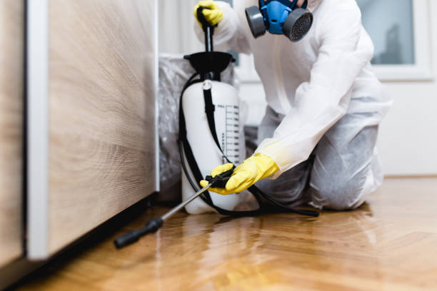 Best Pest Prevention Services  in Tanglewilde, WA