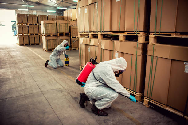 Best Pest Control Near Me  in Tanglewilde, WA