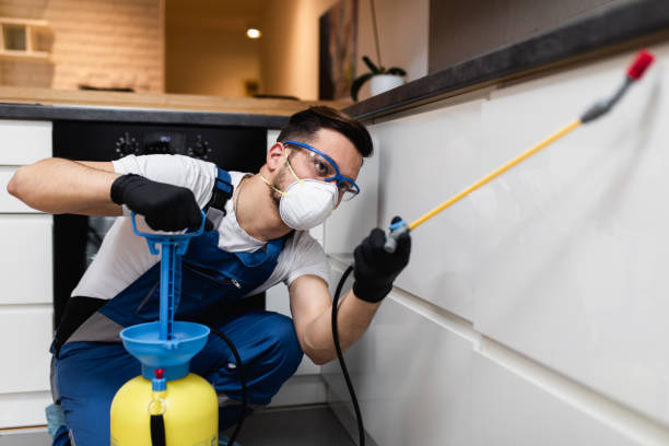 Pest Control Cost in Tanglewilde, WA