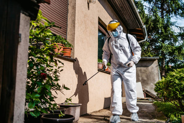 Best Wildlife Control Services  in Tanglewilde, WA