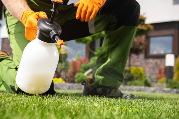 Best Best Pest Control Companies  in Tanglewilde, WA