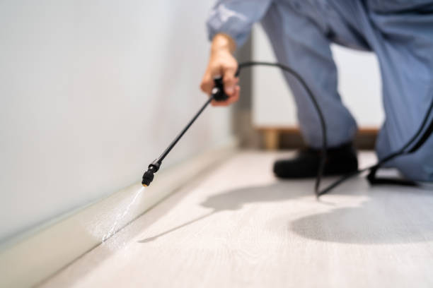 Flea Control Services in Tanglewilde, WA