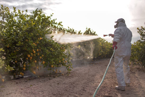 Best Commercial Pest Control Services  in Tanglewilde, WA