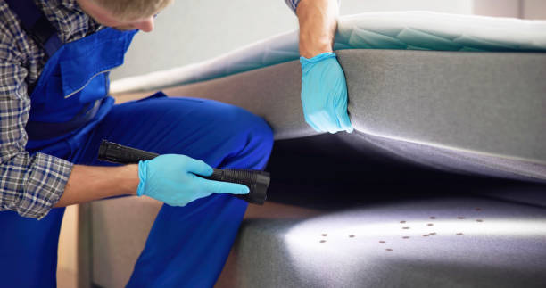 Reliable Tanglewilde, WA Pest Control Solutions