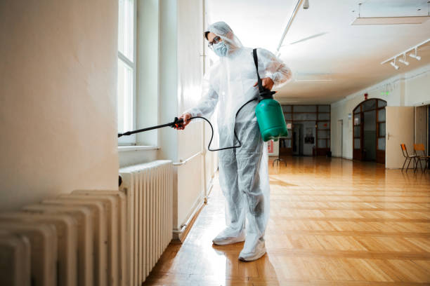 Best Exterminator Services  in Tanglewilde, WA