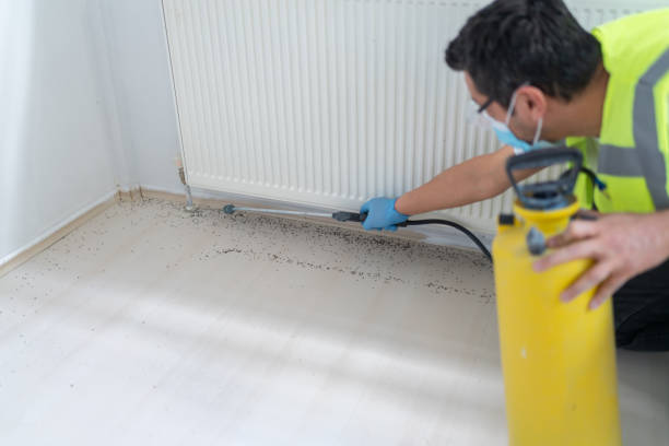Best Residential Pest Control  in Tanglewilde, WA